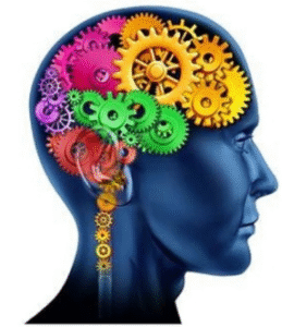 screenshot 2025 11 15 010509