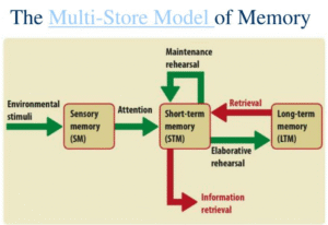 screenshot 2025 11 15 013732