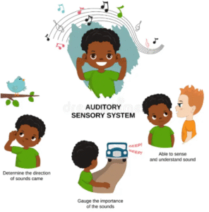 screenshot 2025 11 15 150108