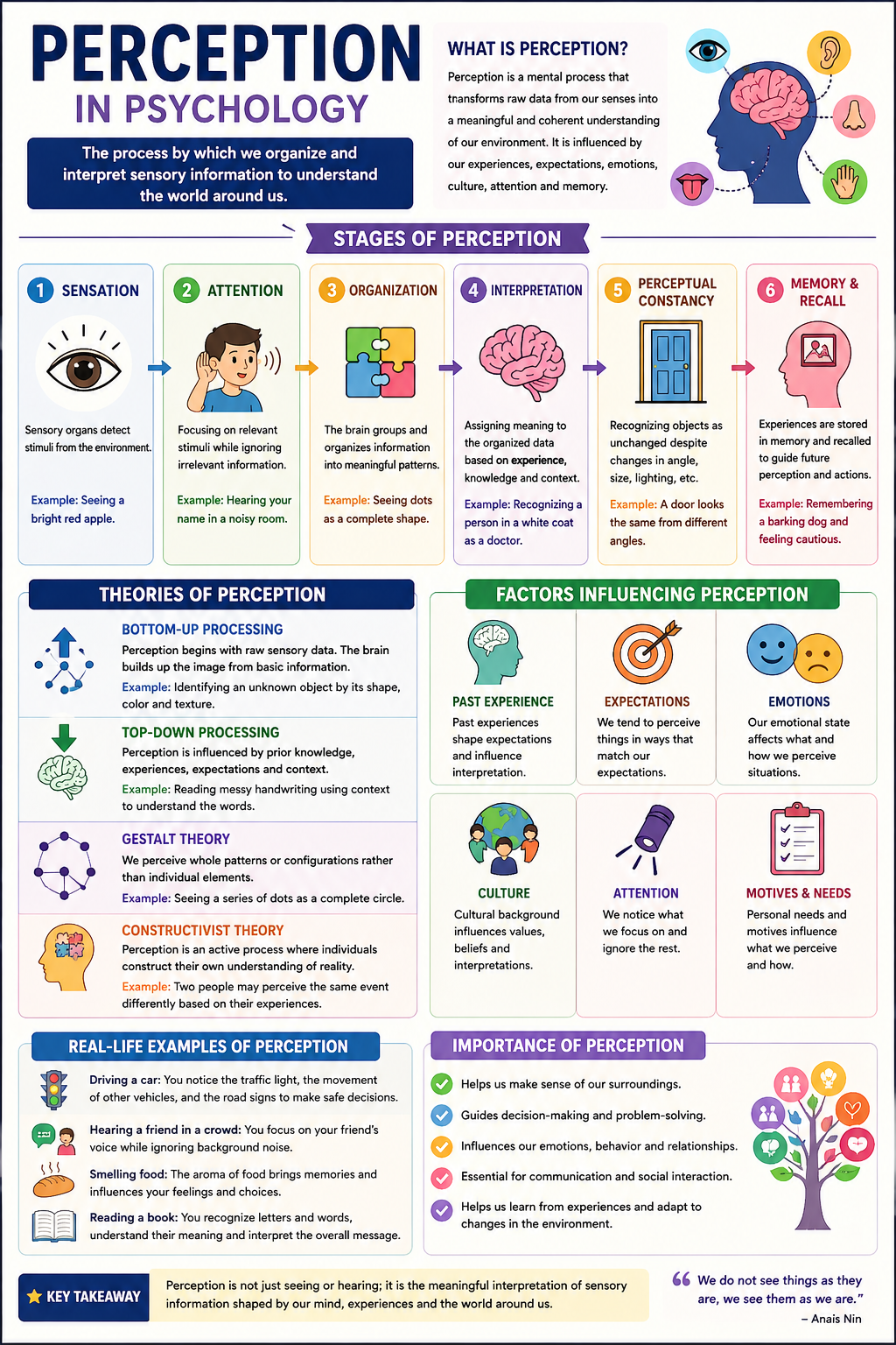 Perception: Definition, Stages, Theories, and Examples Perception: Definition, Stages, Theories, and Examples