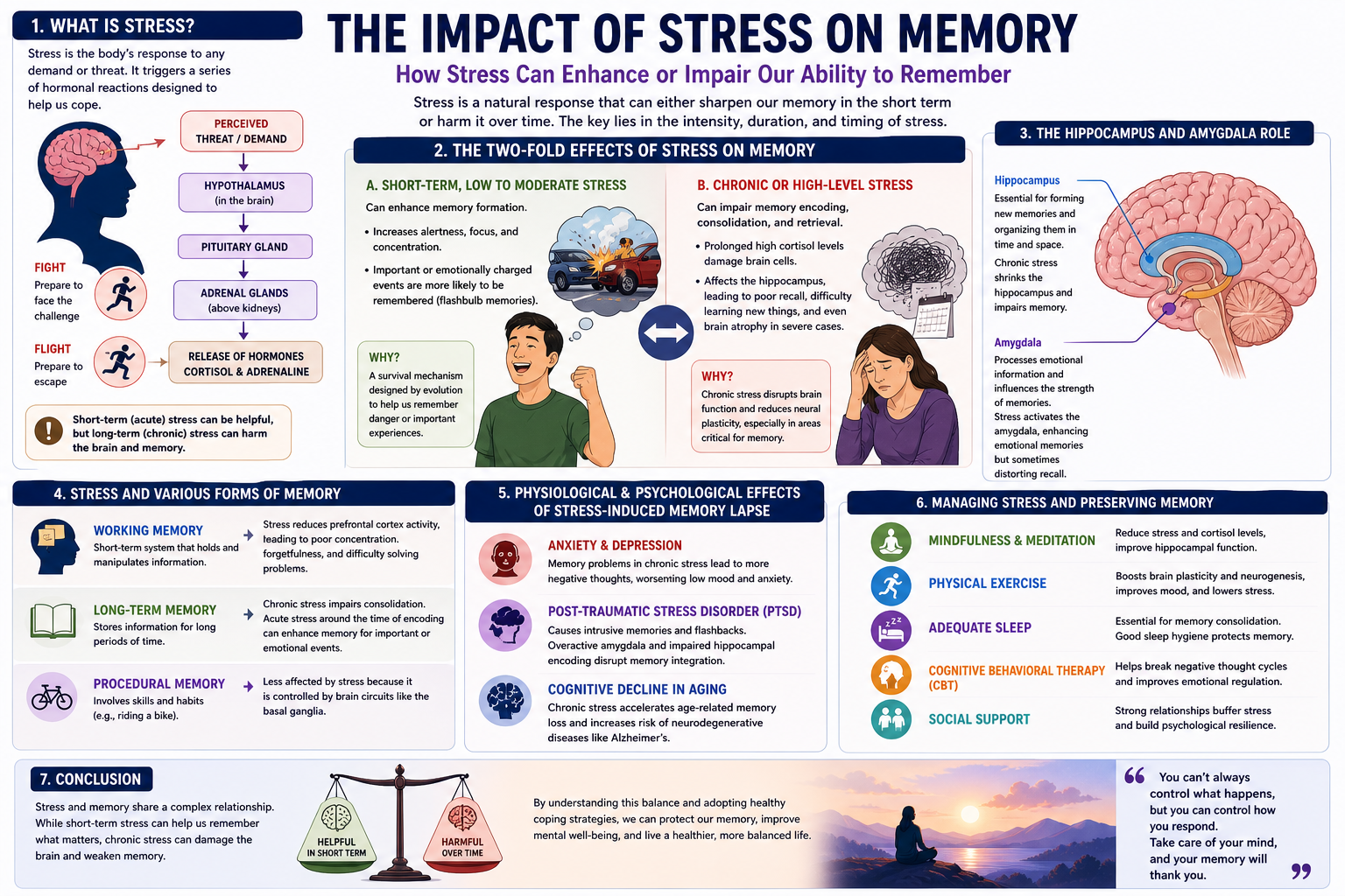 How Stress Affects Memory: Brain Function, Causes, and Solutions How Stress Affects Memory: Brain Function, Causes, and Solutions